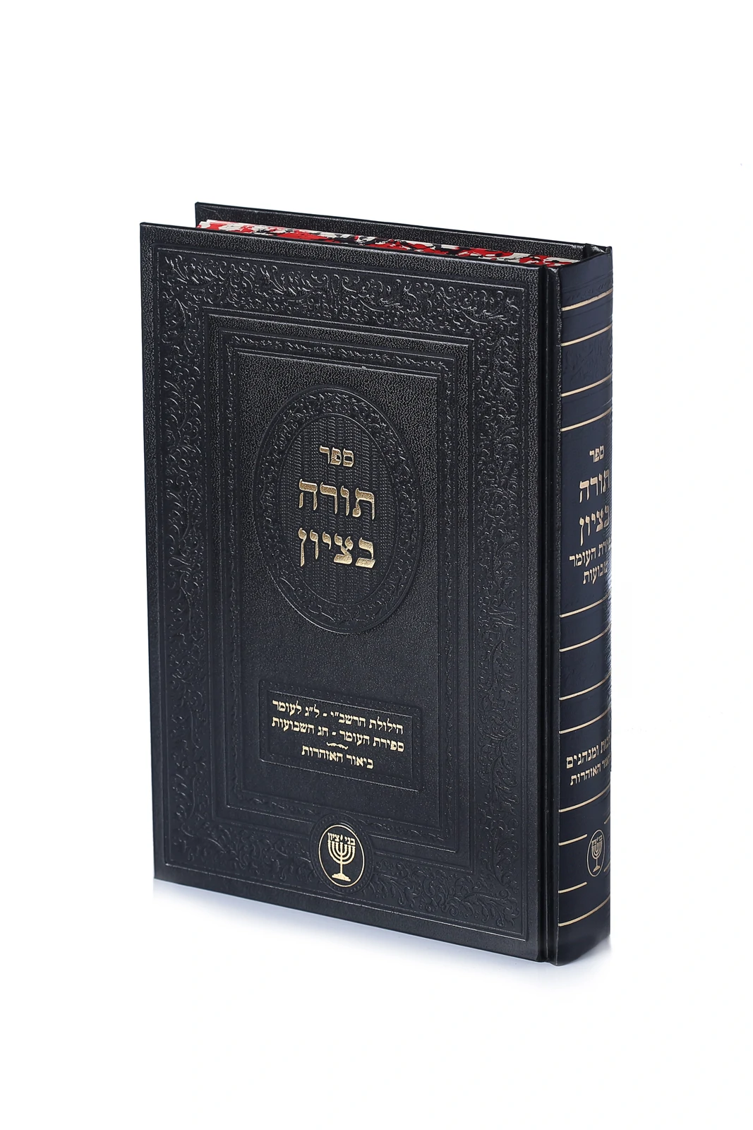 תורה בציון
