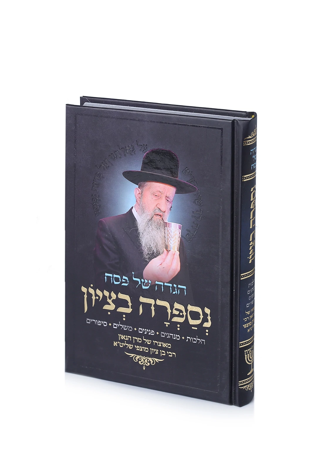 "נספרה בציון" - הגדה של פסח
