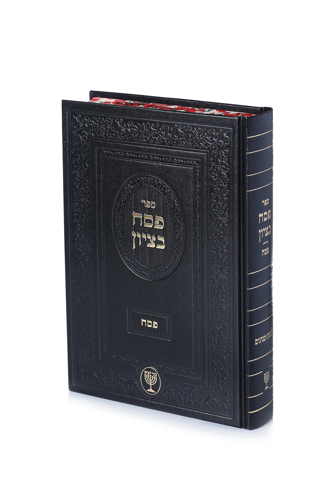 פסח בציון