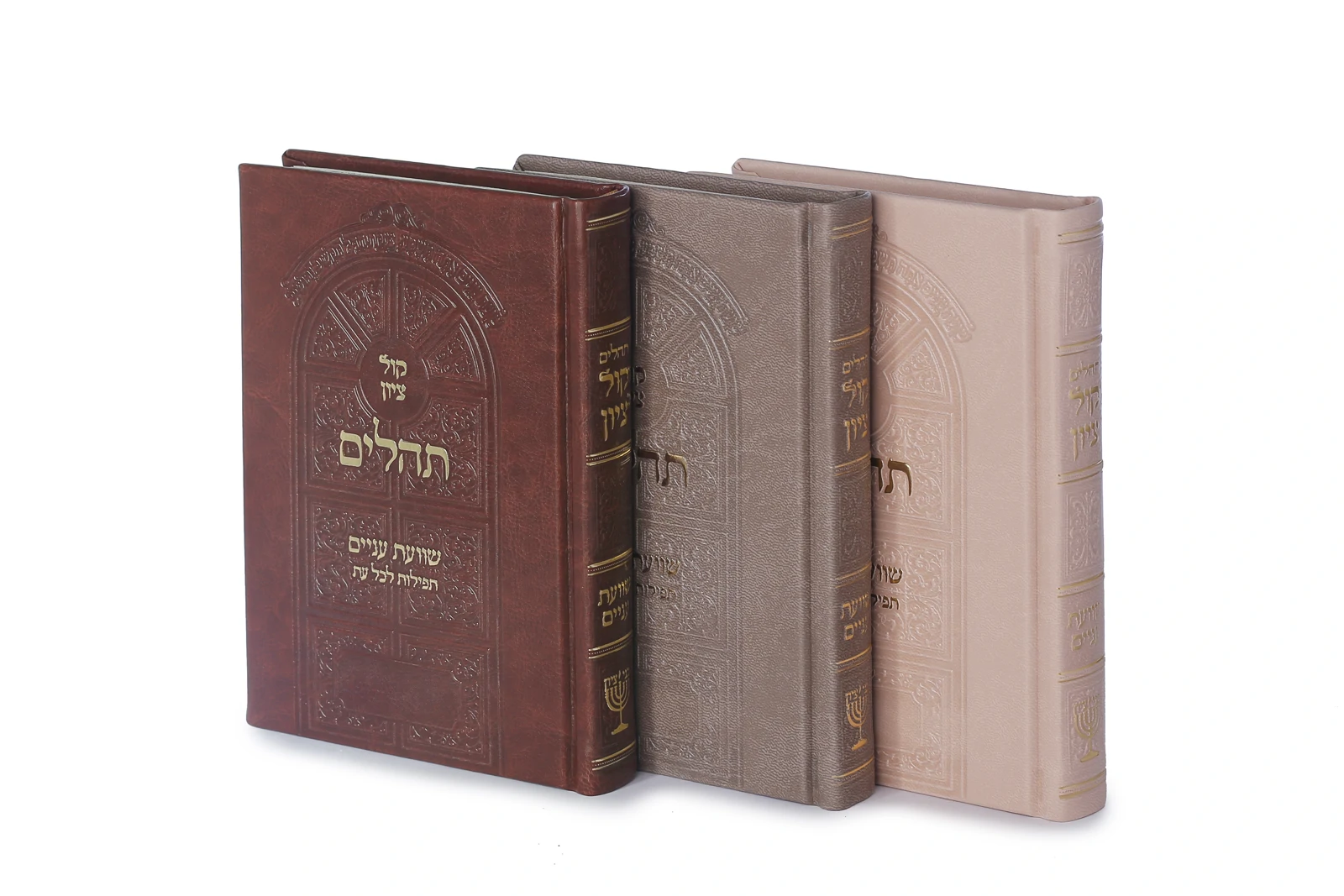 תהלים - קול ציון - קטן יוקרתי